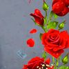 user4020780308544