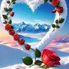 user1056129634024