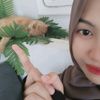 lify.11