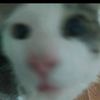 _jessi026