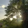 sam.fischer38