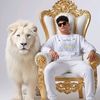 beboo.elsayed95