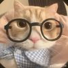 user7401703199187