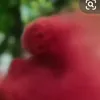 taolabomay_065