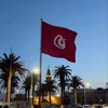tounsia.sy