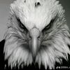 user7204615814781