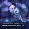 sedi_sukurov17