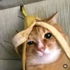 mangostrafes