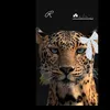 user7655169797409