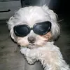 charrrlottw