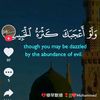 user4700656276978