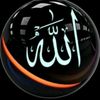 user24777659123601