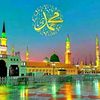 m.amir3845
