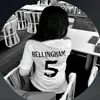 3y.pd