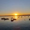 mustaphamakboul7