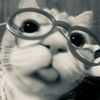 korek_120