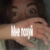 nbg.shl