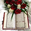 mhamedmhamed6785
