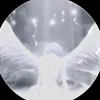 angels_sse