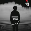 .51106151