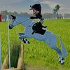 stellaeqshowing