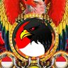 perjakamuda713