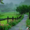hajera.jahan0