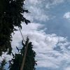 malak._3167