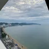 hagbao6