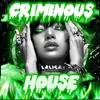 criminoushouse067