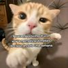buscoooooseo