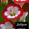 maral10602
