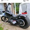 esstee204