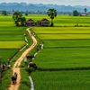 ទេសភាព ស្រុកស្រែ