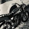 feastiell