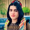 zainullah.hamgin