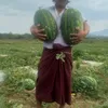 ma.hnin.nwe6