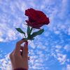 nour.aya639