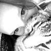 verner_1212