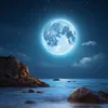 aesthetic.videos29