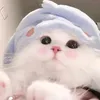con.nm.ln4
