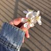 fatm_637