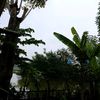 rehan_novi