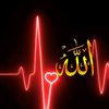 hamza.afridi1541