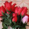 user4818083028465