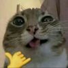 gabelowkboredasf