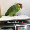 el_novio_de_tu_jefa