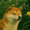 doge_rus4