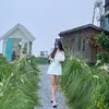 Góc nhỏ của ChiChi