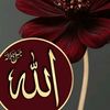 user4591835046525